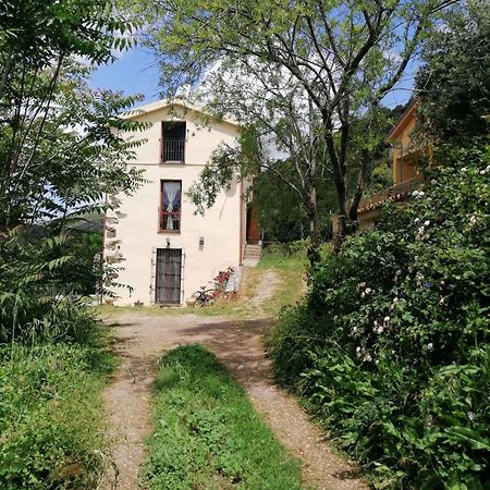 Stellaria Casa Vacanze In Montagna Panorama Stupendo Sardegna Seùlo Eksteriør bilde