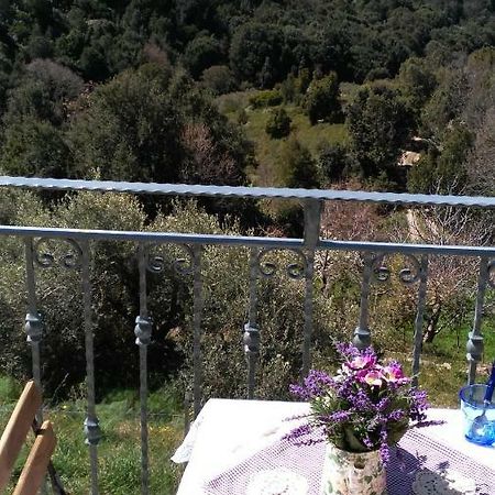Stellaria Casa Vacanze In Montagna Panorama Stupendo Sardegna Seùlo Eksteriør bilde