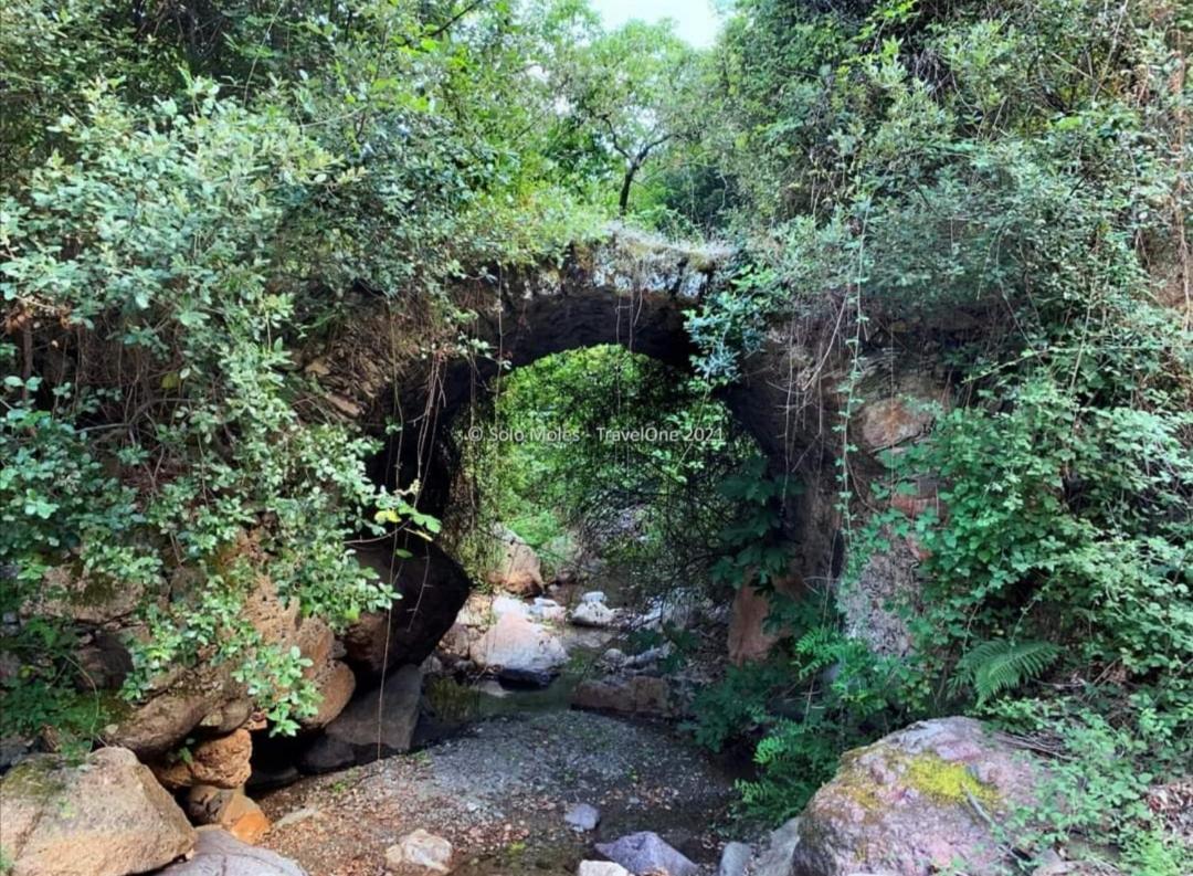 Stellaria Casa Vacanze In Montagna Panorama Stupendo Sardegna Seùlo Eksteriør bilde