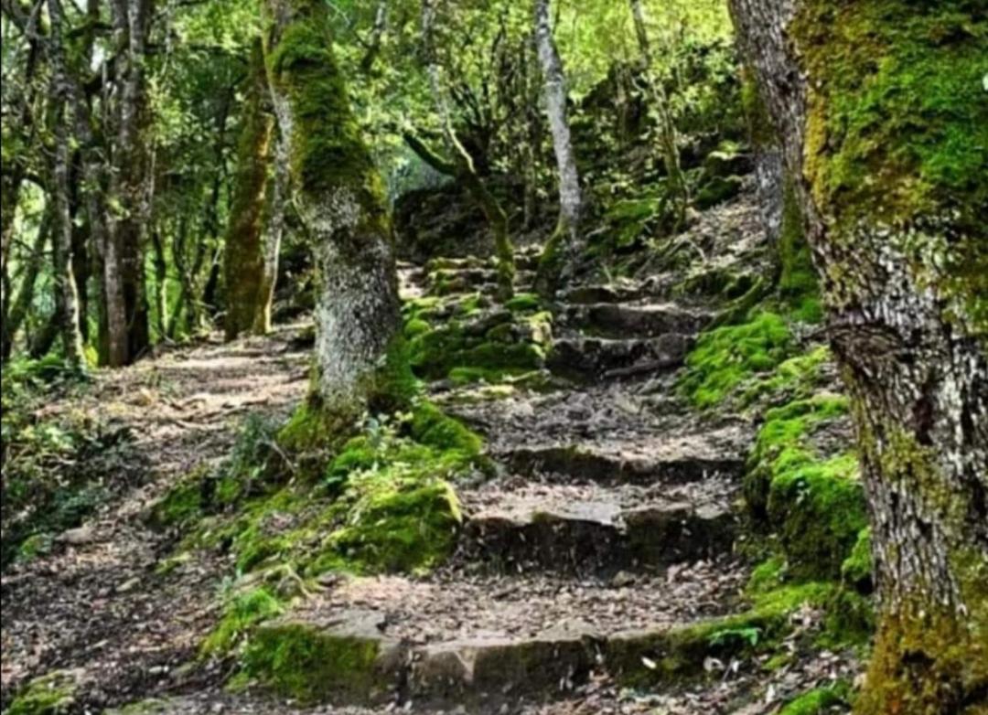Stellaria Casa Vacanze In Montagna Panorama Stupendo Sardegna Seùlo Eksteriør bilde
