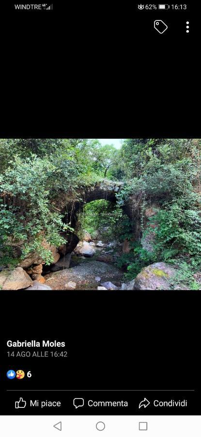 Stellaria Casa Vacanze In Montagna Panorama Stupendo Sardegna Seùlo Eksteriør bilde
