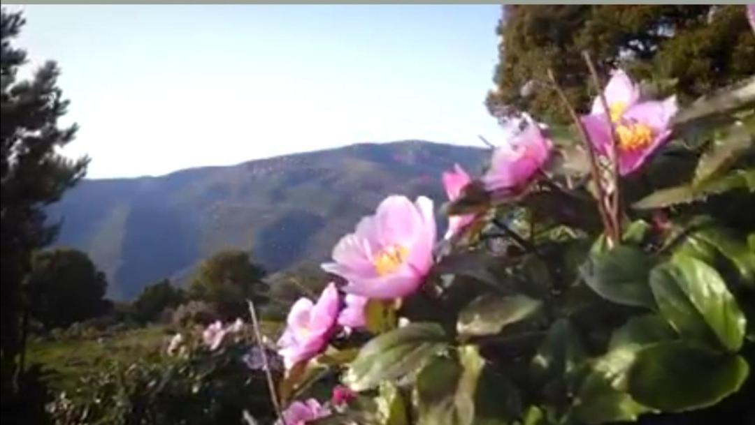 Stellaria Casa Vacanze In Montagna Panorama Stupendo Sardegna Seùlo Eksteriør bilde