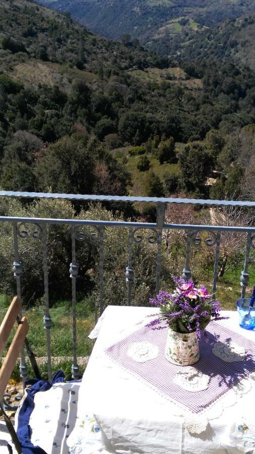 Stellaria Casa Vacanze In Montagna Panorama Stupendo Sardegna Seùlo Eksteriør bilde