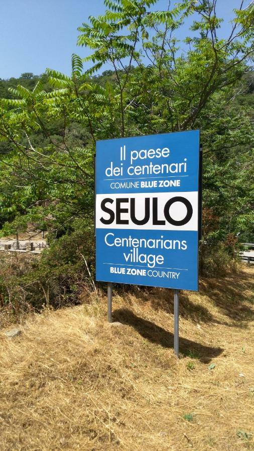 Stellaria Casa Vacanze In Montagna Panorama Stupendo Sardegna Seùlo Eksteriør bilde