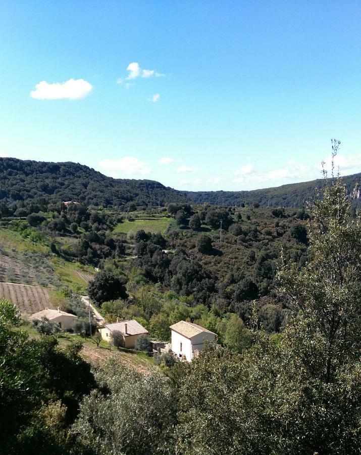 Stellaria Casa Vacanze In Montagna Panorama Stupendo Sardegna Seùlo Eksteriør bilde