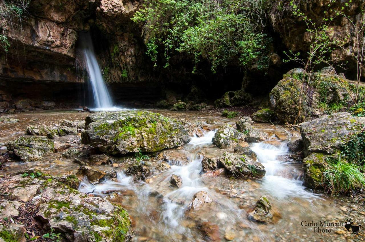 Stellaria Casa Vacanze In Montagna Panorama Stupendo Sardegna Seùlo Eksteriør bilde