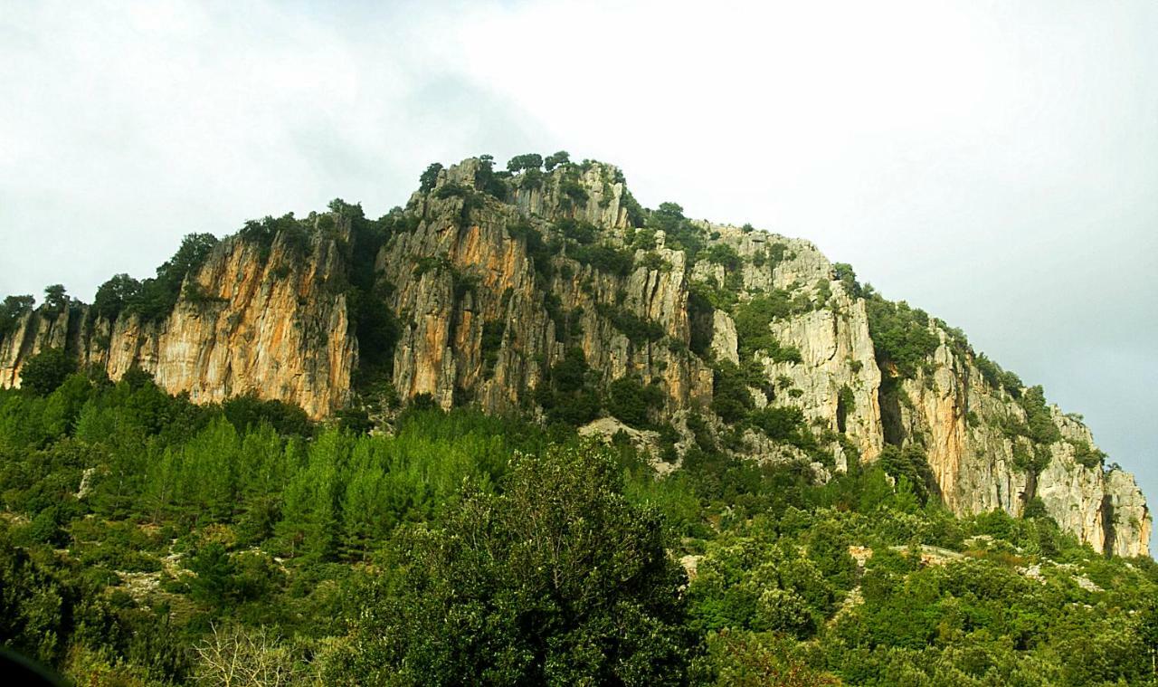 Stellaria Casa Vacanze In Montagna Panorama Stupendo Sardegna Seùlo Eksteriør bilde