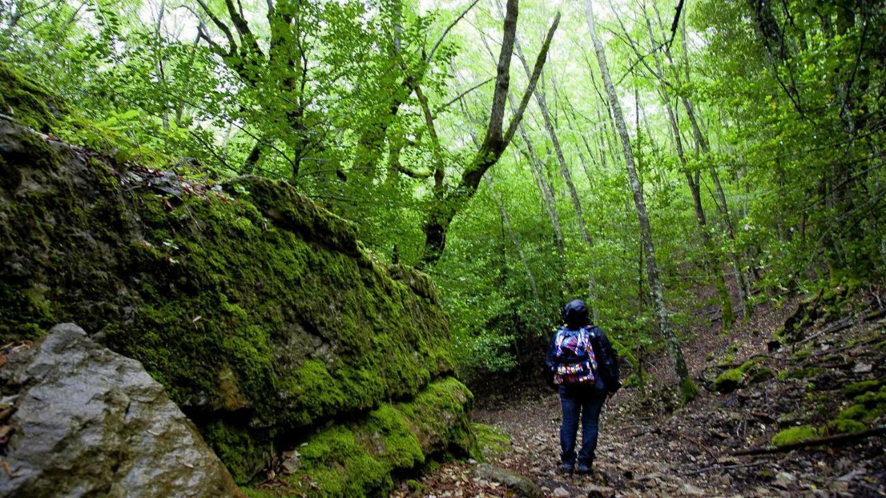 Stellaria Casa Vacanze In Montagna Panorama Stupendo Sardegna Seùlo Eksteriør bilde
